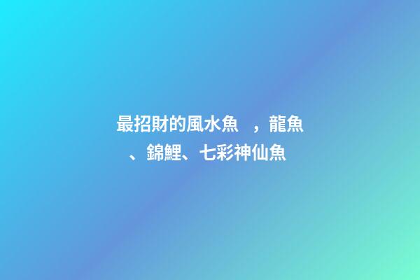 最招財的風水魚，龍魚、錦鯉、七彩神仙魚
